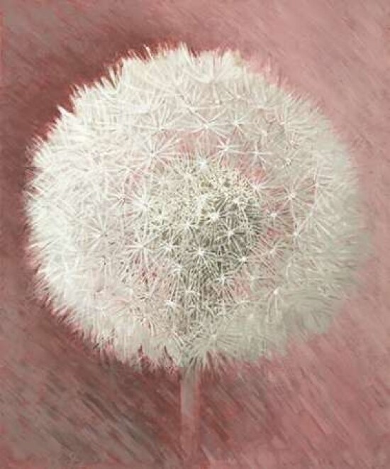 Dandelion Clock I Poster Print by Elisabeth Verdonck - Item # VARPDX62054