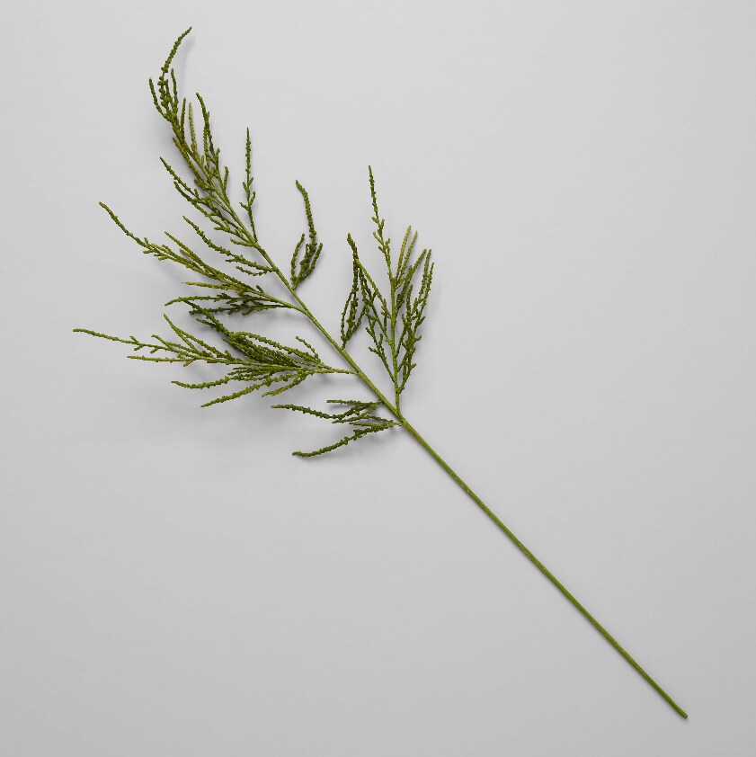 Summer Green Spiny Amaranthus Spray Eco-friendly Artificial Stems by Bloomist