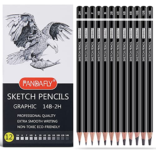 12 Pieces Professional Drawing Sketching Pencil Graphite Pencils(14B - 2H), Ideal for Drawing Art, Sketching, Shading, Artist Pencils for Beginners & Pro Artists