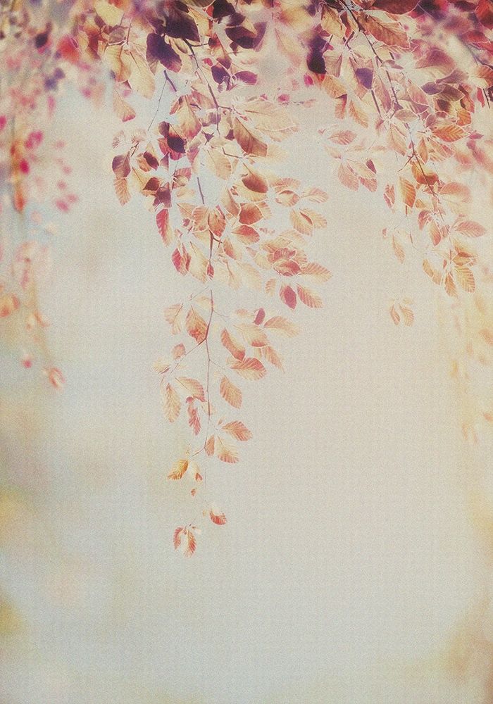 Fall Ii Poster Print by PhotoINC Studio - Item # VARPDXIN99204