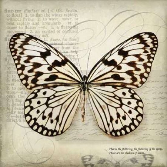 Butterflies Script III Poster Print by Amy Melious - Item # VARPDXMEL418