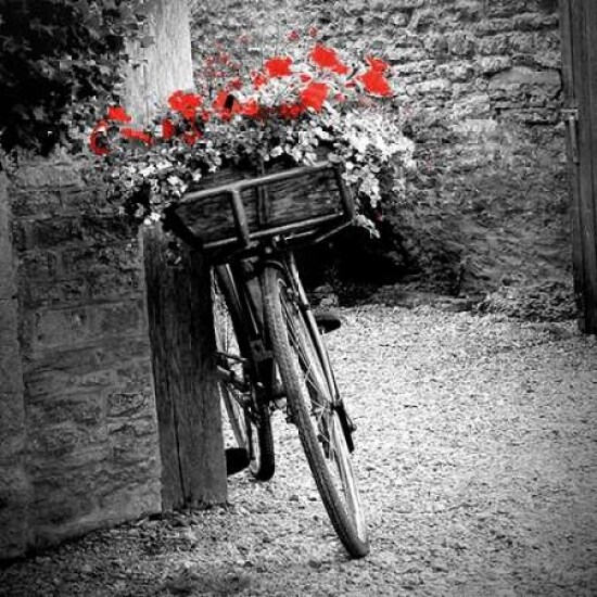 Flower Bike Square Poster Print by Gail Peck - Item # VARPDX9002D