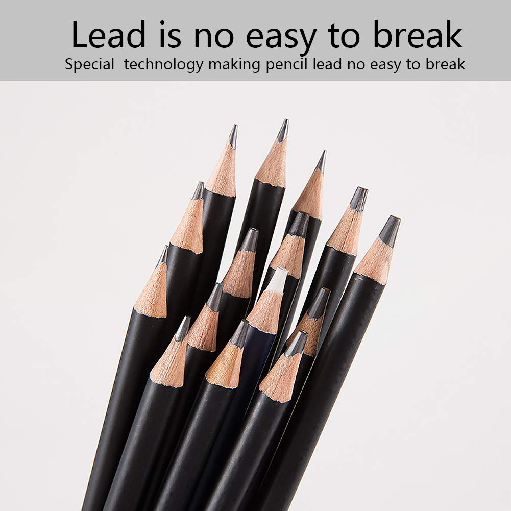29 Pieces Sketching Pencils Set, Metal Box Packaging, Including Graphite Pencils&#x3001;Charcoal Pencils&#x3001;Blending Stumps and other tools for drawing (A set).