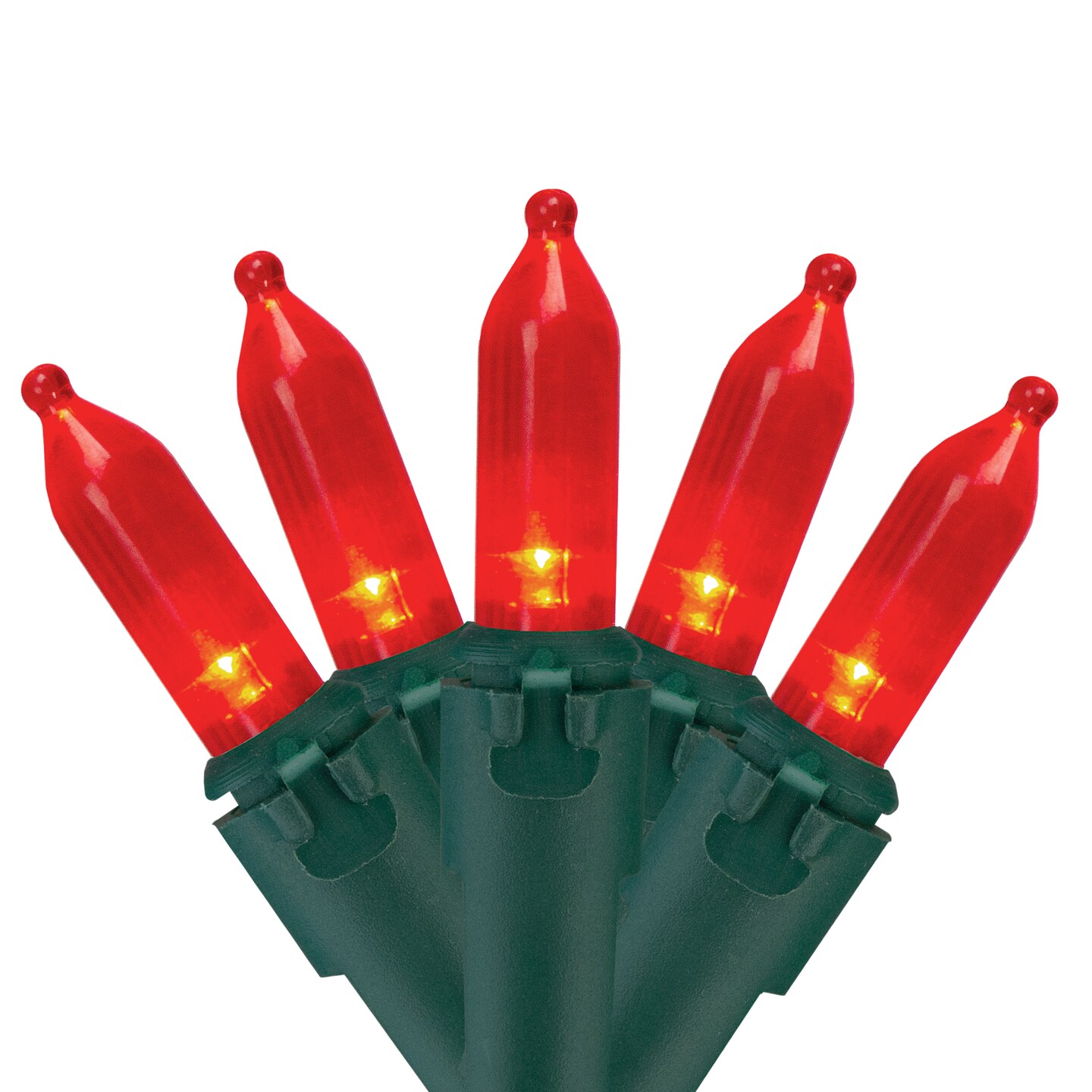 Northlight 50 Red LED Mini Christmas Lights - 16.25 ft Green Wire