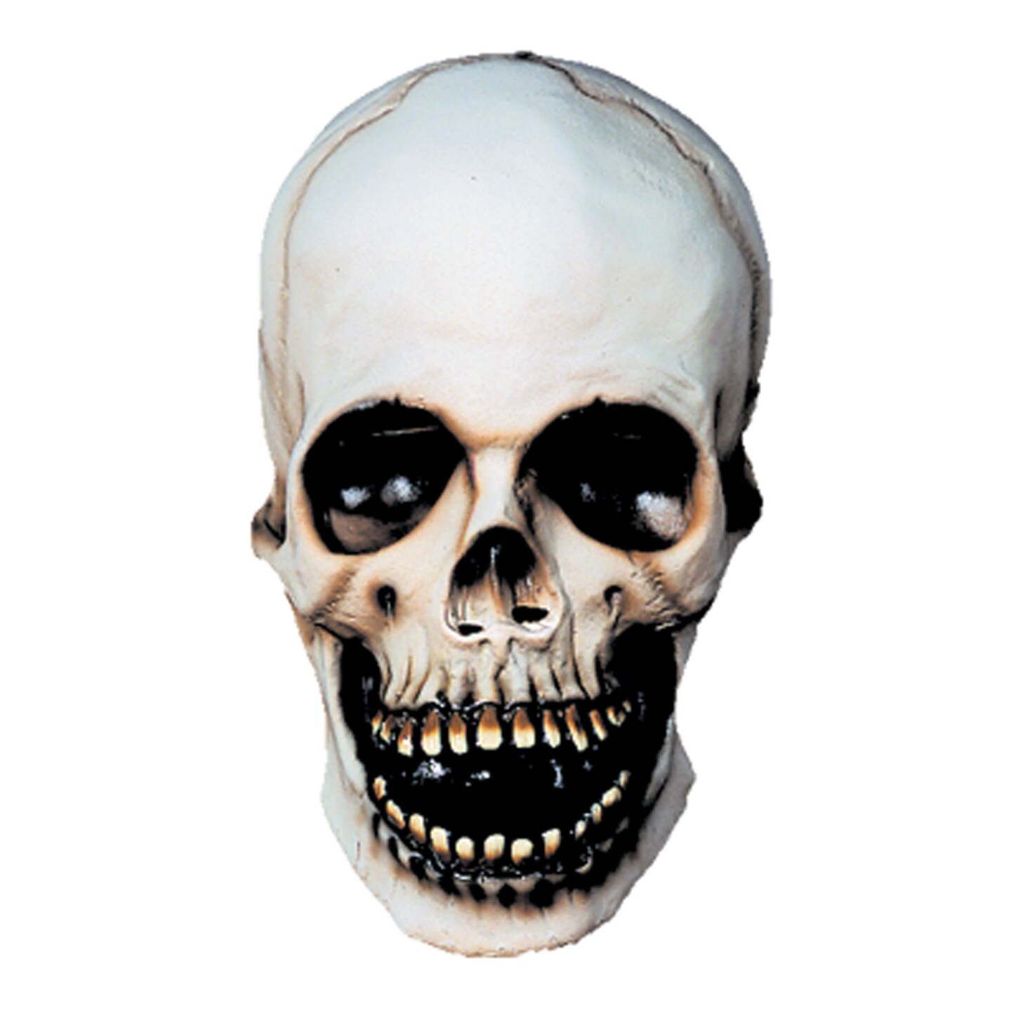 The Costume Center White Skull Unisex Adult Halloween Mask Costume Accessory - One Size