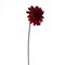 Allstate 21.5" Deep Red and Brown Leafless Gerbera Daisy Artificial ...