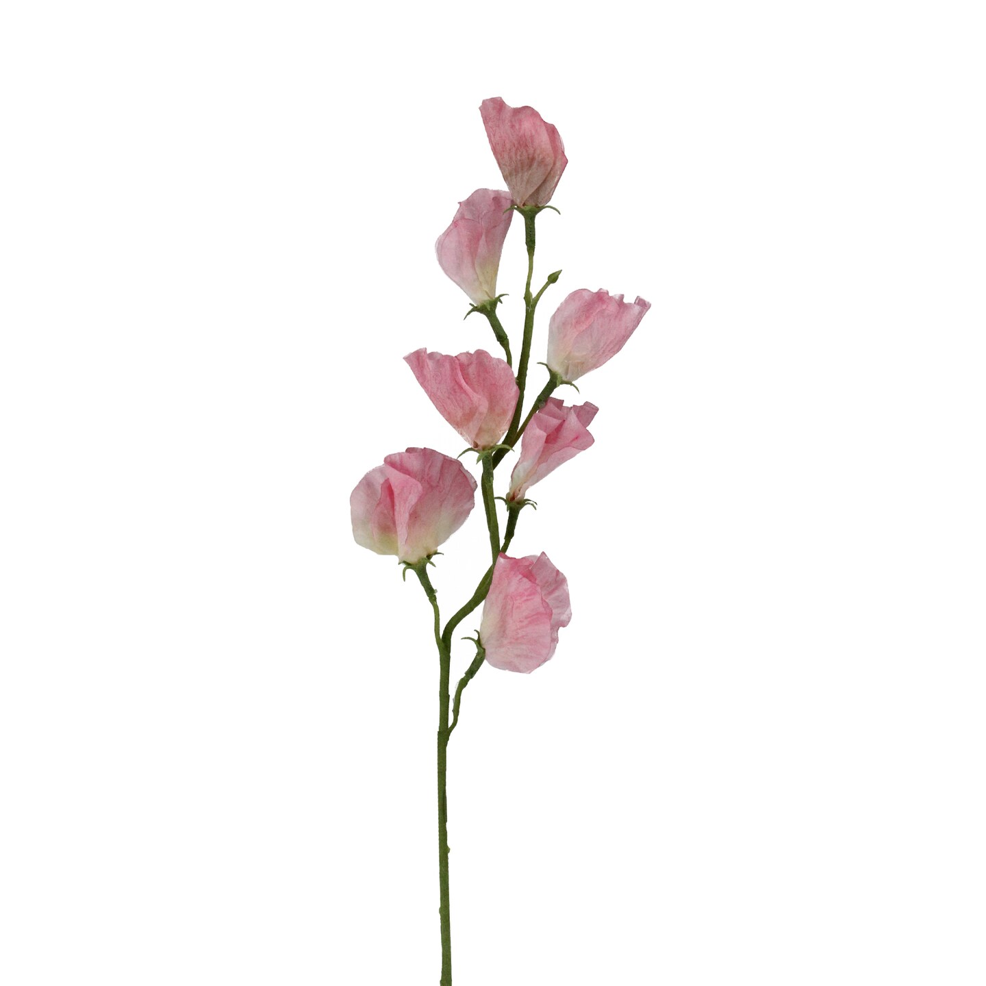 CC Home Furnishings 21.5&#x22; Pink and Cream Colored Sweetpea Flower Artificial Floral Craft Spray