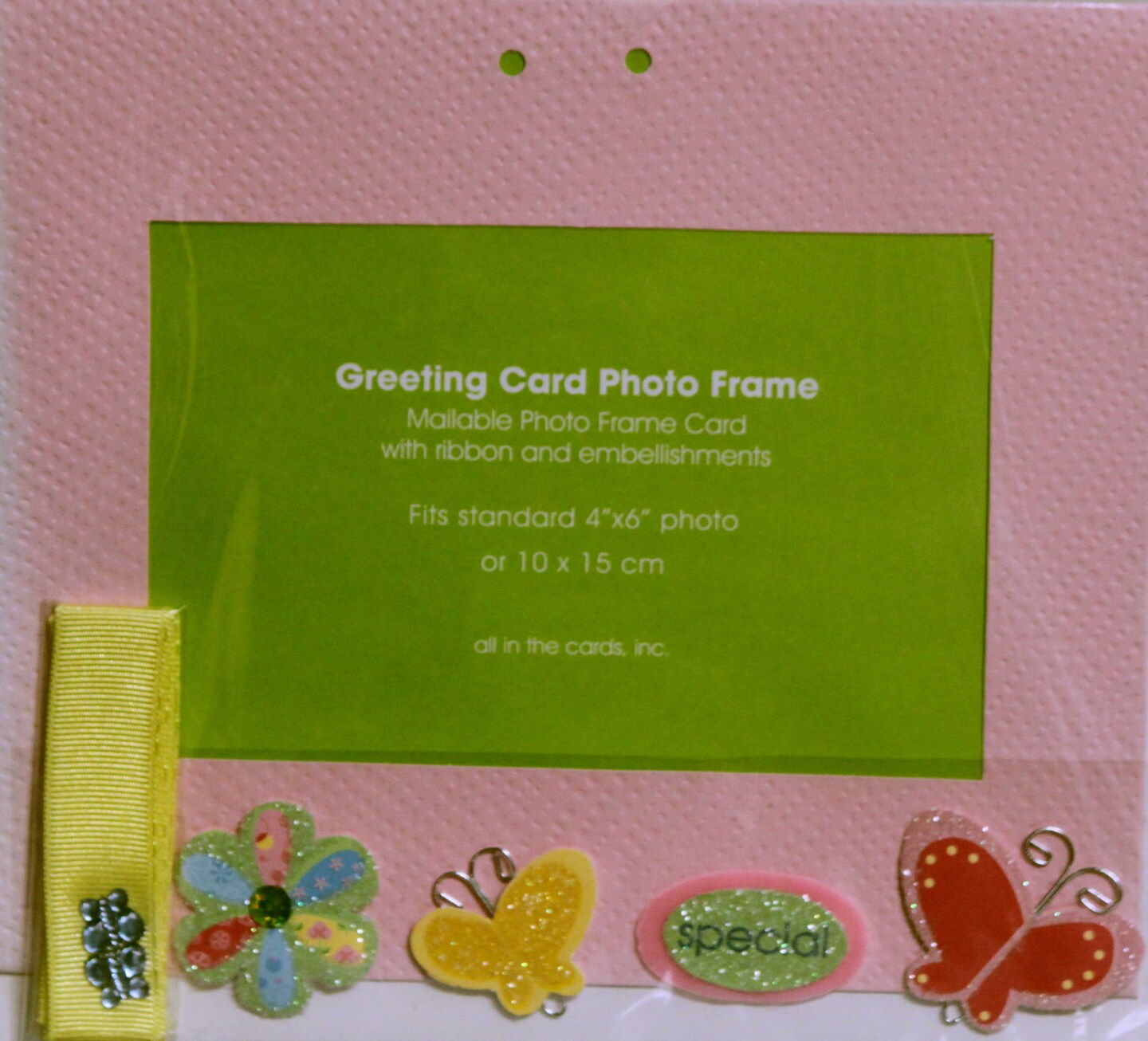 Designer D.I.Y. All Occasion Photo Frame Greeting Card Kit