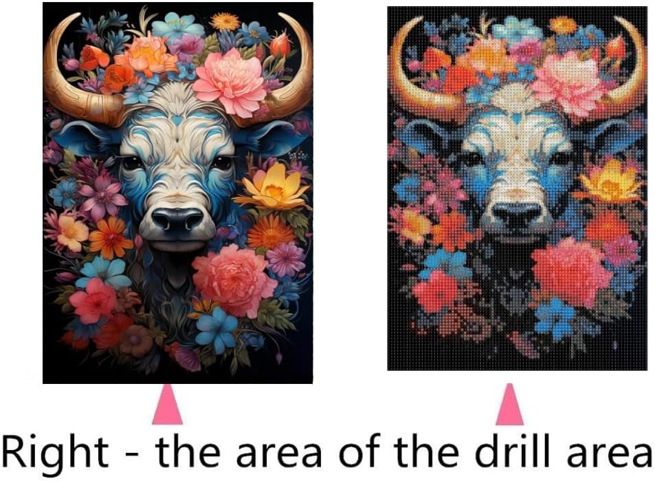 Decorative Diamond Art Painting Kits