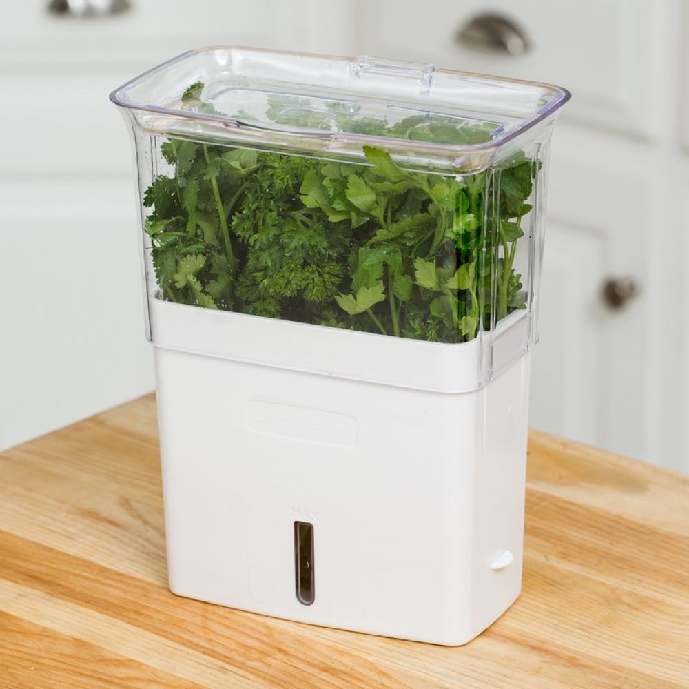 Cole &#x26; Mason Fresh Herb Keeper Container