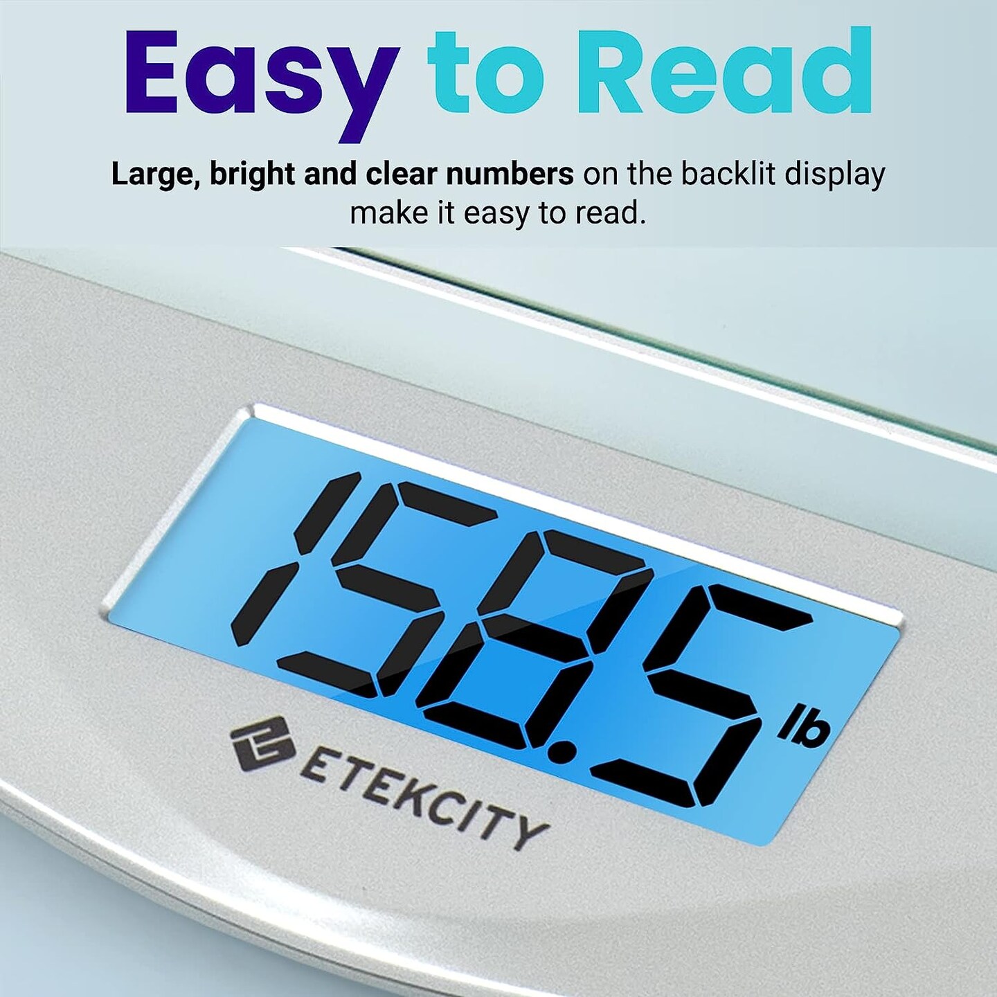 Easy Read Digital Scale