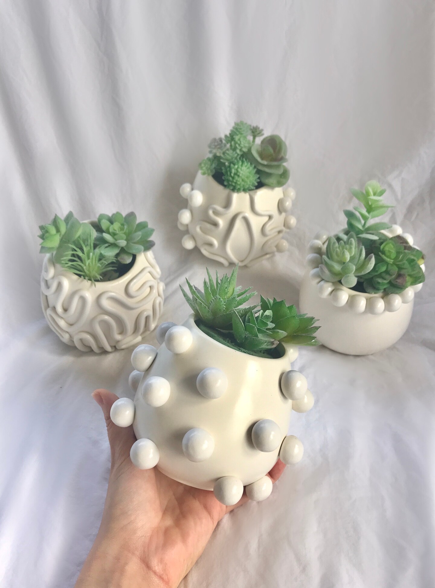 succulent ceramic pots Succulents in White Ceramic Pots (Set of 4)  Mudfingers