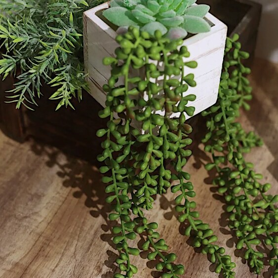 2 Green 23&#x22; Artificial Succulents Faux String Hanging Plants