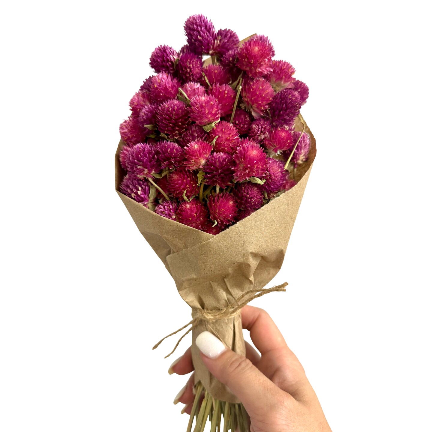 11&#x22; Dried Pink and Purple Globe Amaranth Mini Bouquet