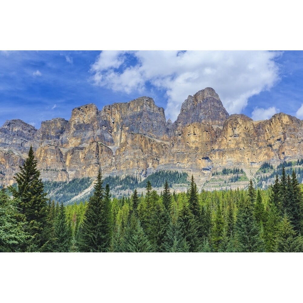 Castle Mountain And Coniferous Trees Banff National Park; Alberta Canada Poster Print