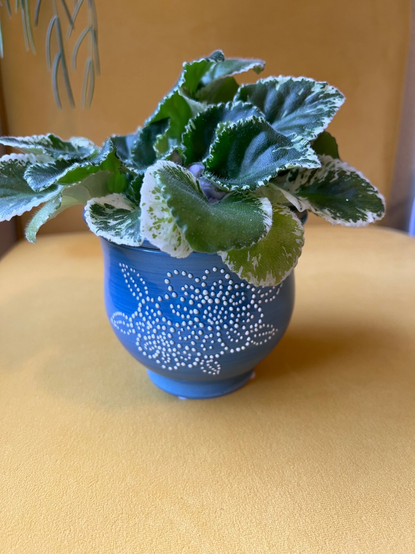 blue ceramic flower pot Mini Mommy Pot  Tiny Flower Vase with Poem Card