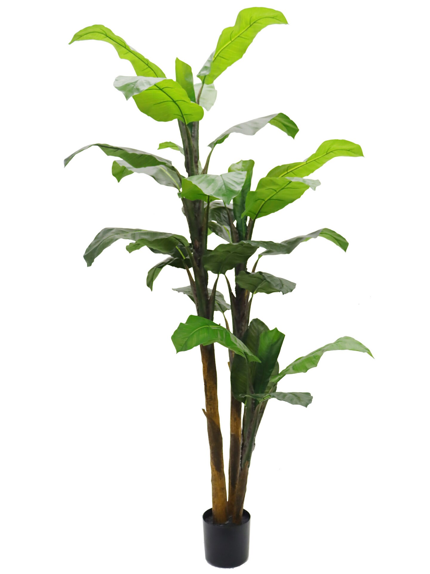 6ft Banana Tree in Black Pot with 27 Silk Leaves by Floral Home&#xAE;