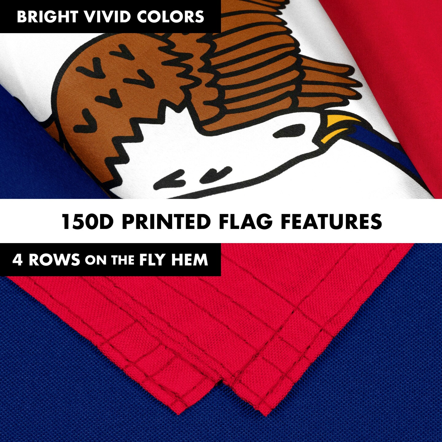 G128 Combo Pack: 6 Feet Tangle Free Spinning Flagpole (Black) Iowa IA State Flag 3x5 ft Printed 150D Brass Grommets (Flag Included) Aluminum Flag Pole