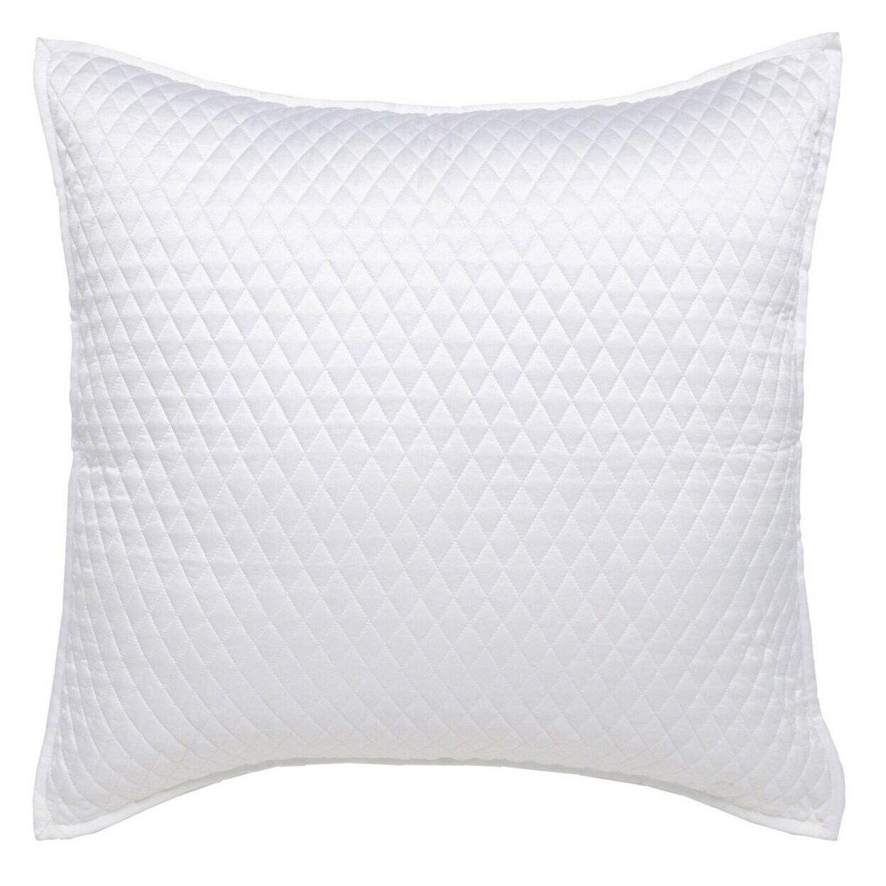 Bed bath and outlet beyond euro pillow shams