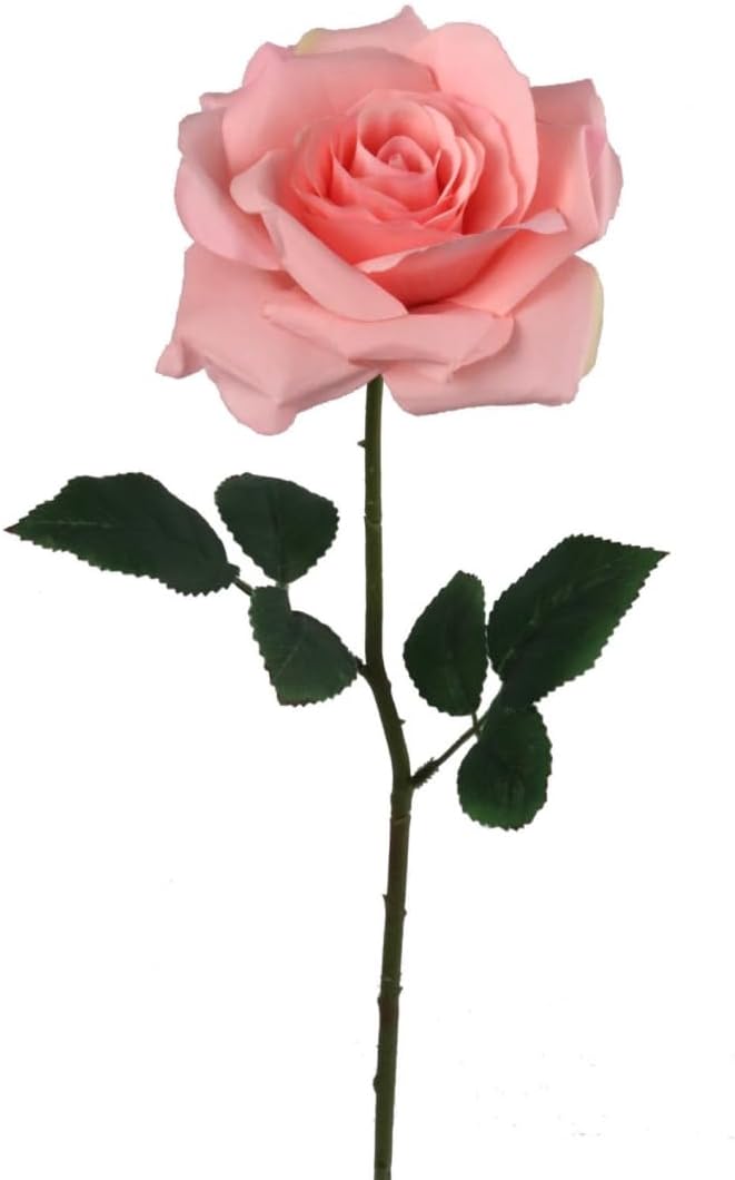 Premium Open Rose Stems: Set of 24, 20-Inch, with Silk Leaves by Floral Home&#xAE;