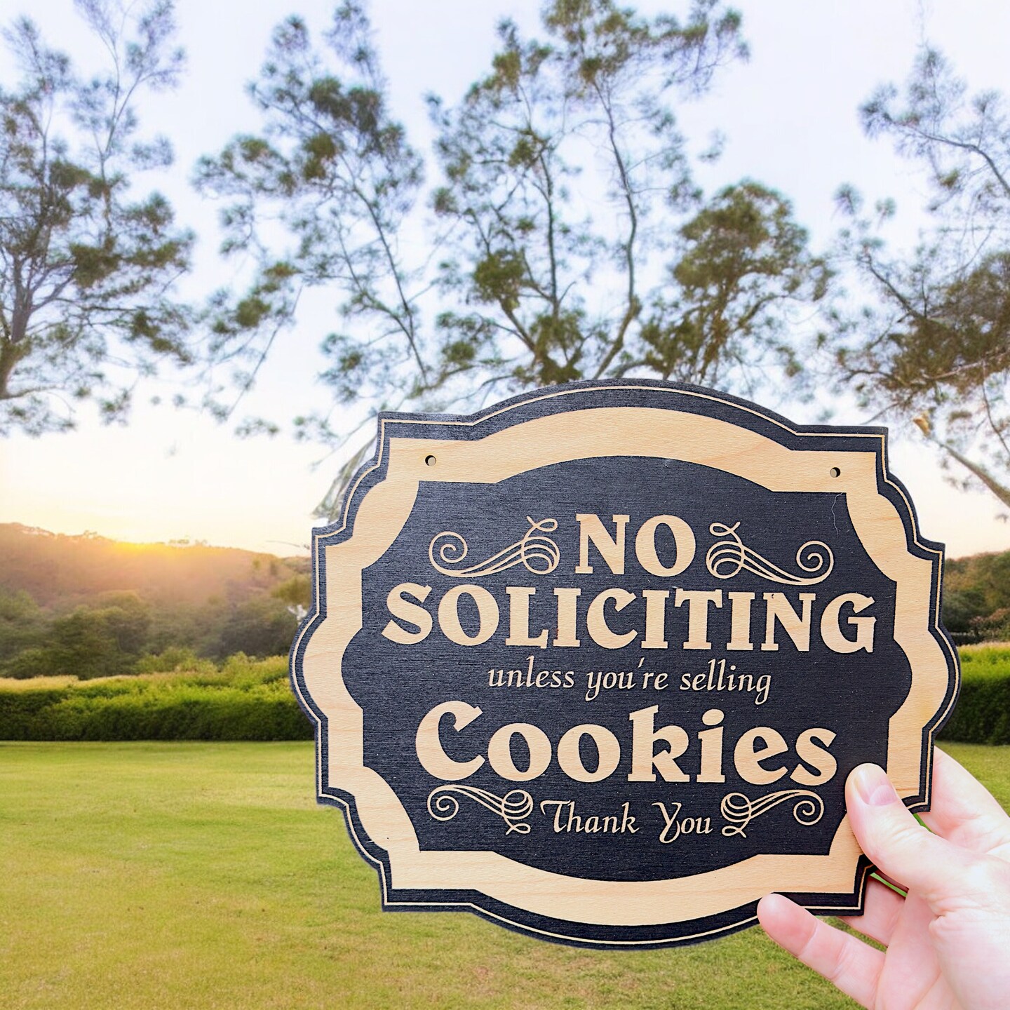 No Soliciting Unless You&#x27;re Selling Cookies - Black Door Sign 6x9