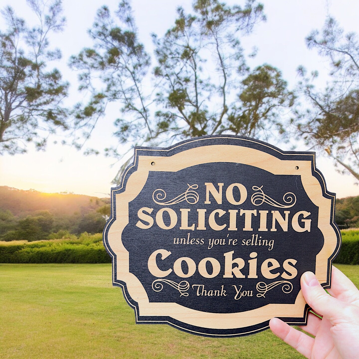No Soliciting Unless You're Selling Cookies - Black Door Sign 6x9 No Soliciting Unless You're Selling Cookies - Black Door Sign 6x9