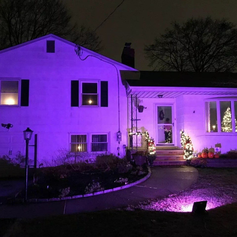 2Pack Solar Power Spot Lights LED Purple Garden Outdoor Path Landscape Wall Lamp