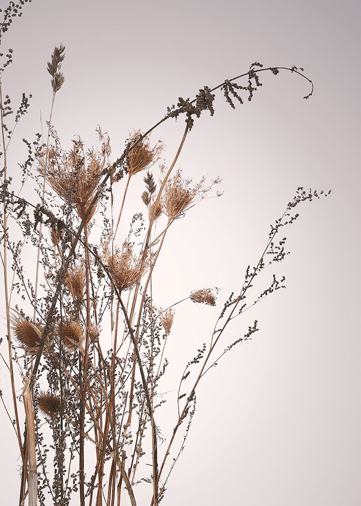 Everlasting Poster Print by Design Fabrikken Design Fabrikken # MF9691617