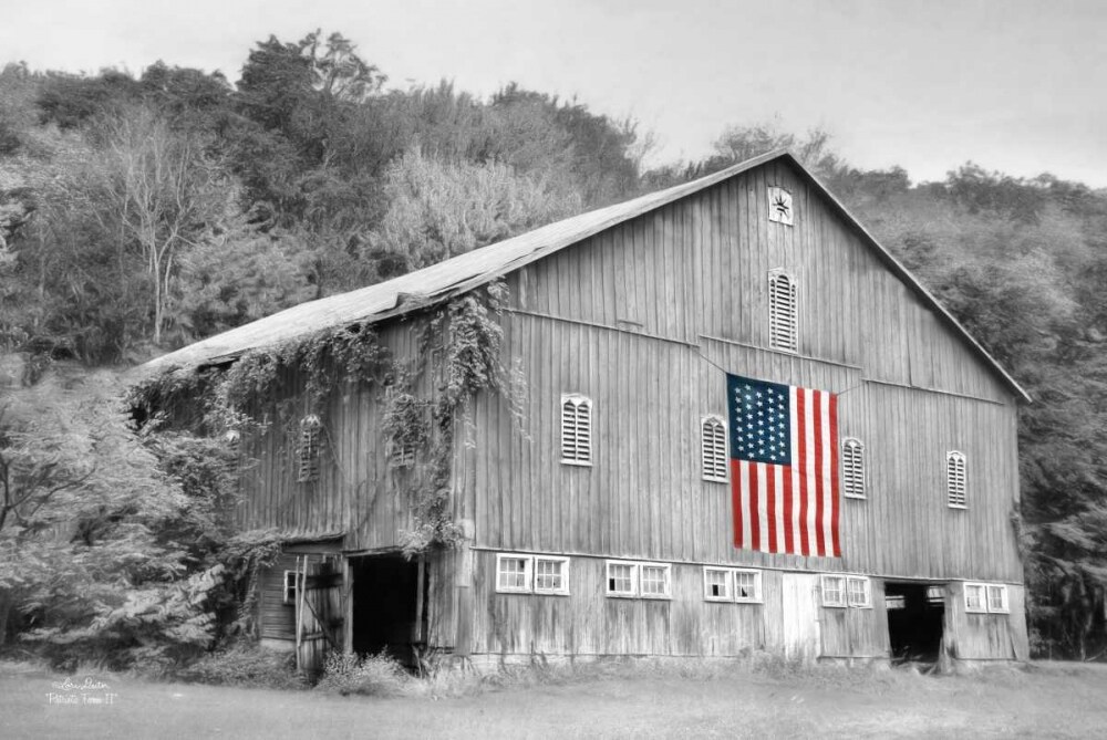 Patriotic Farm II Poster Print by Lori Deiter - Item # VARPDXLD775