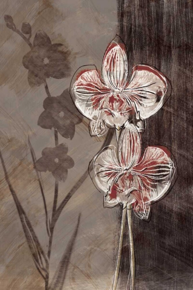 Orchid Sketch I Poster Print by Tandi Venter - Item # VARPDXPOD5139