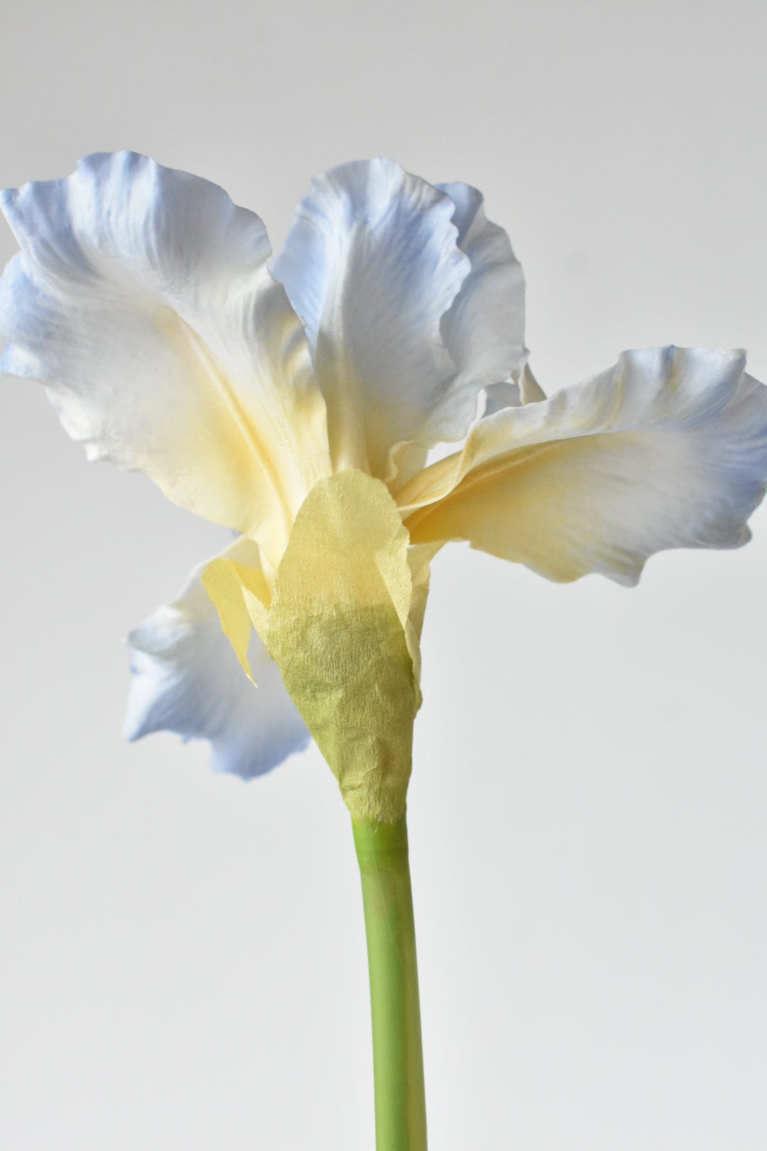 30&#x22; Real Touch Faux Light Blue Iris Stem