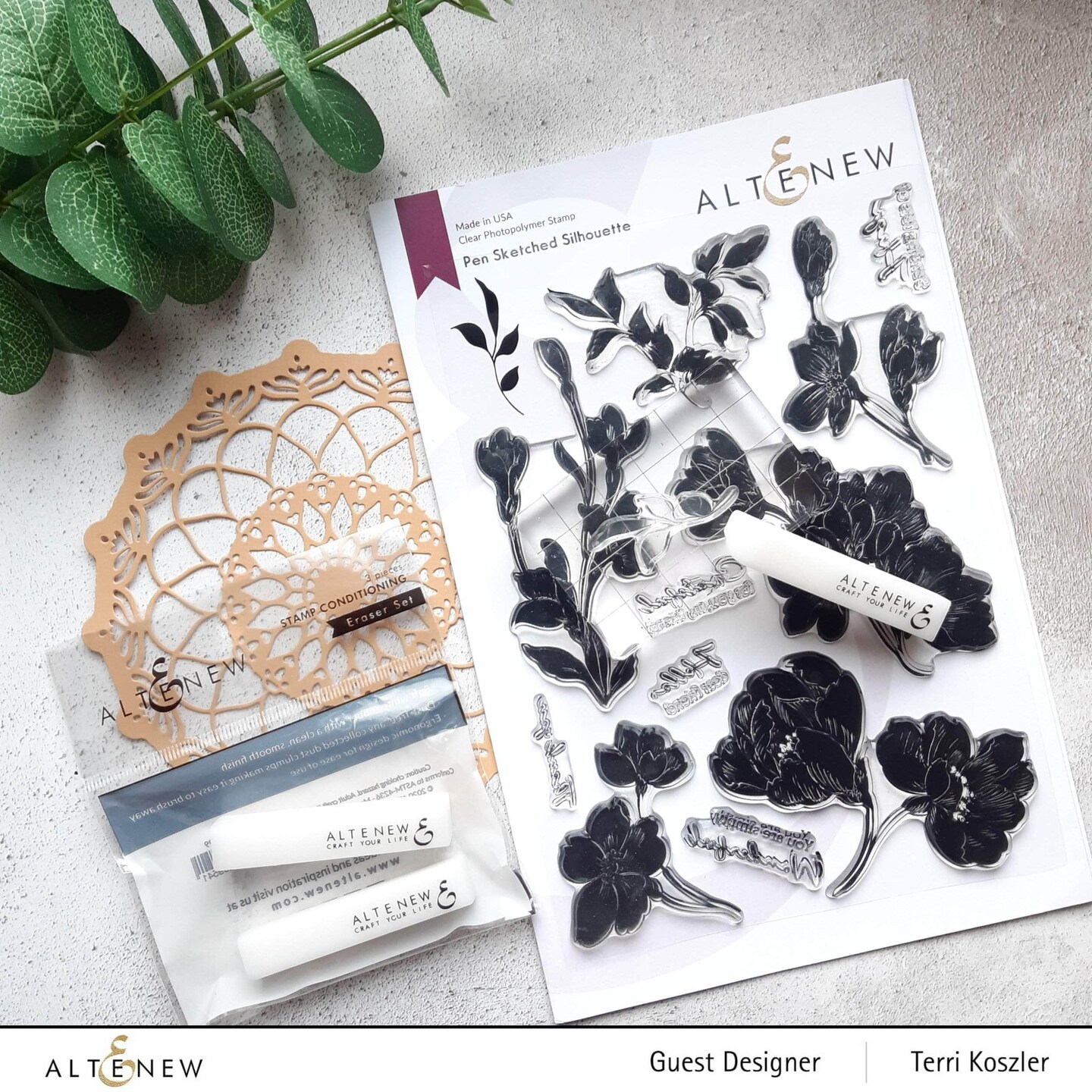 Stamp Conditioning Eraser Set