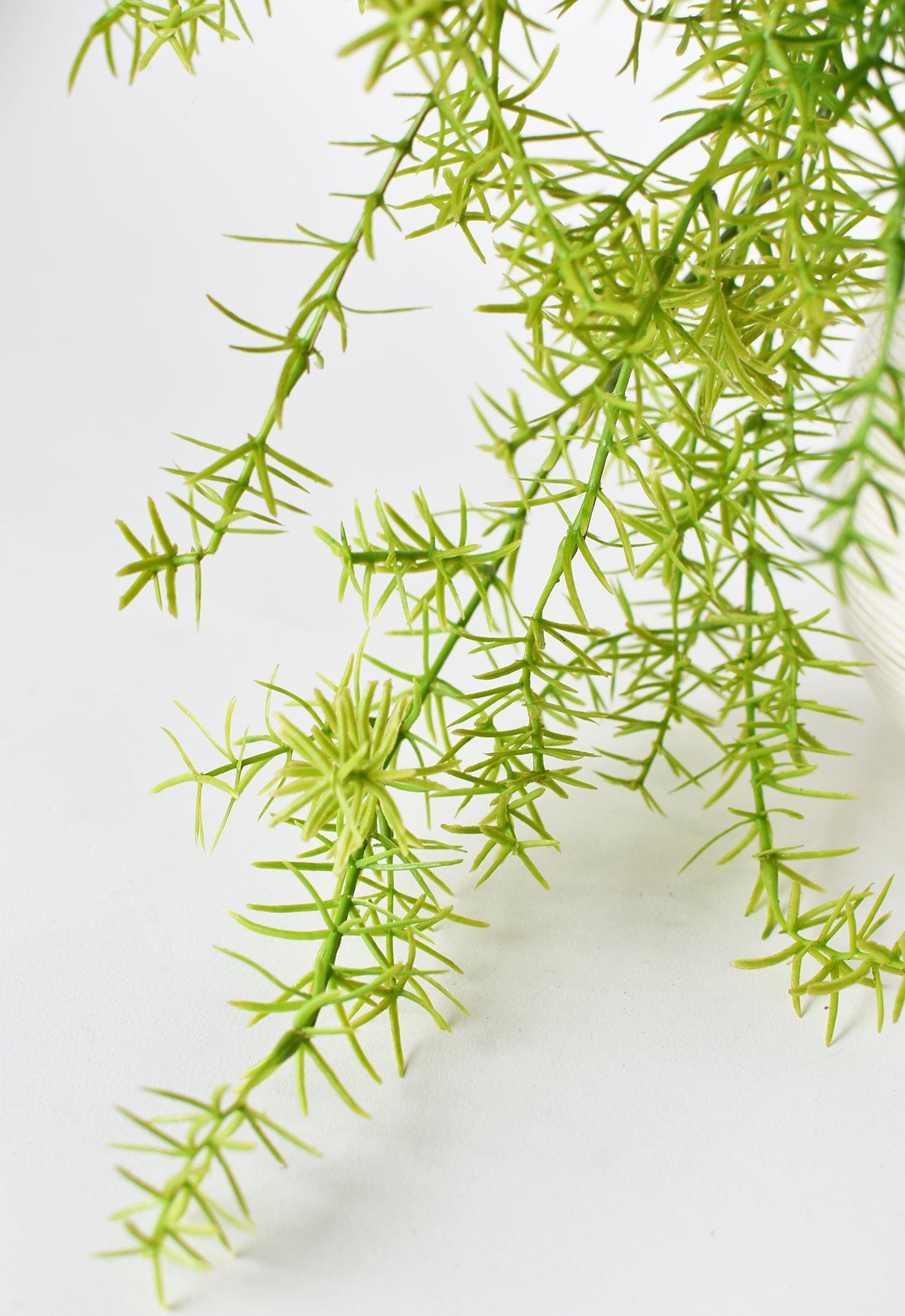 26&#x22; Faux Soft Asparagus Fern Sprengeri Bush