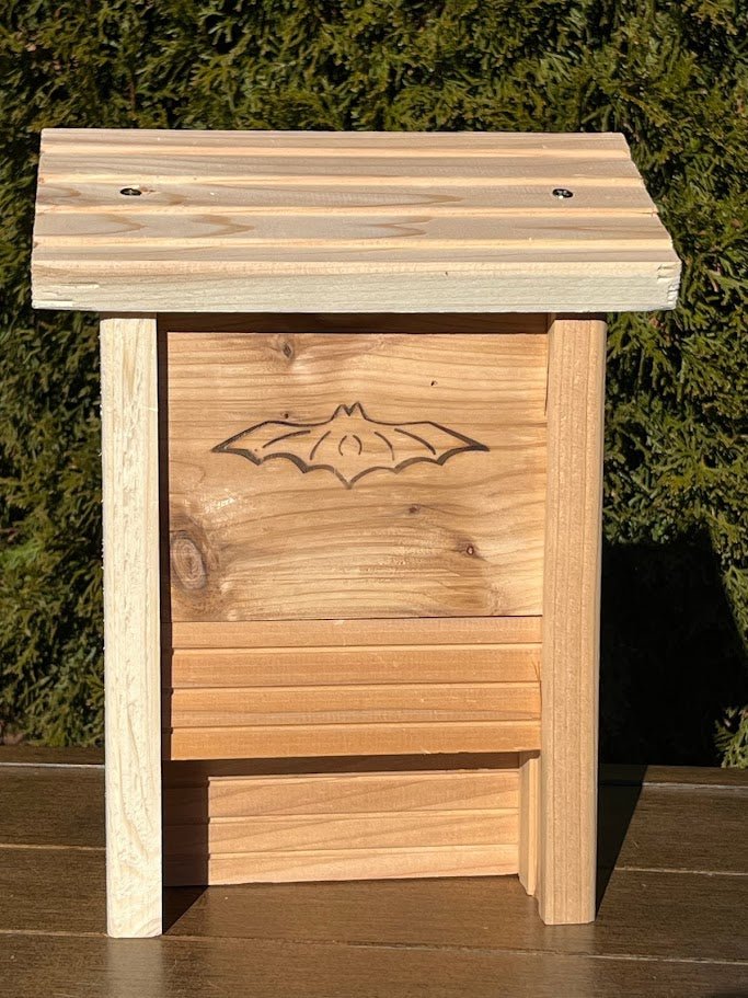 Kids DIY Bat House Kit