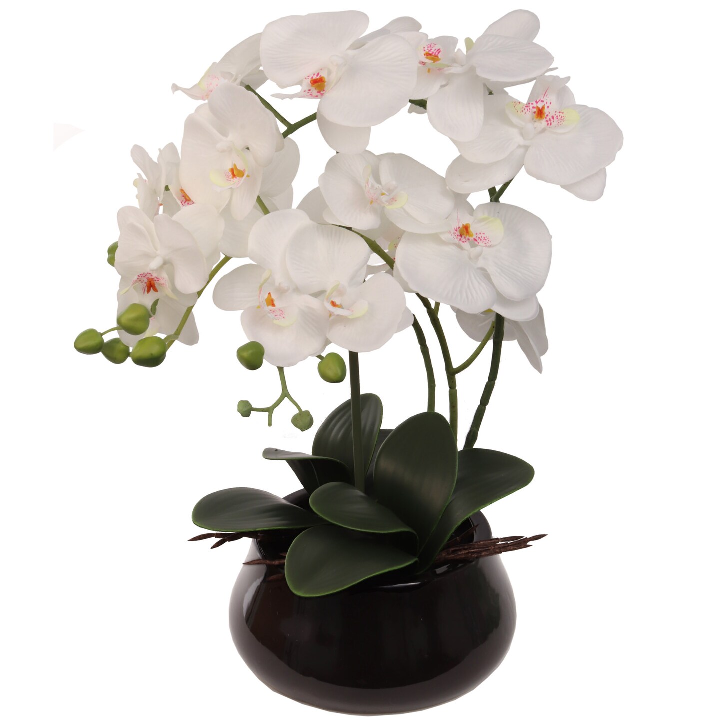 15&#x22; White Phalaenopsis Orchid Flowers in Black Ceramic Vase by Floral Home&#xAE;