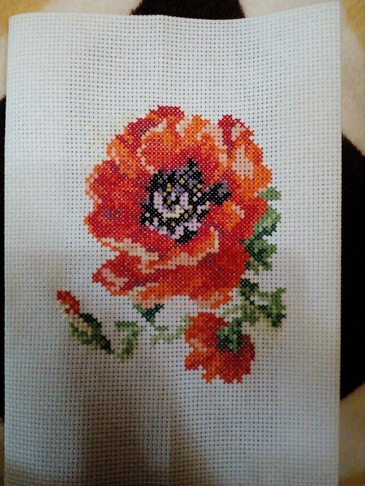 Poppy 0-80 Counted Cross-Stitch Kit