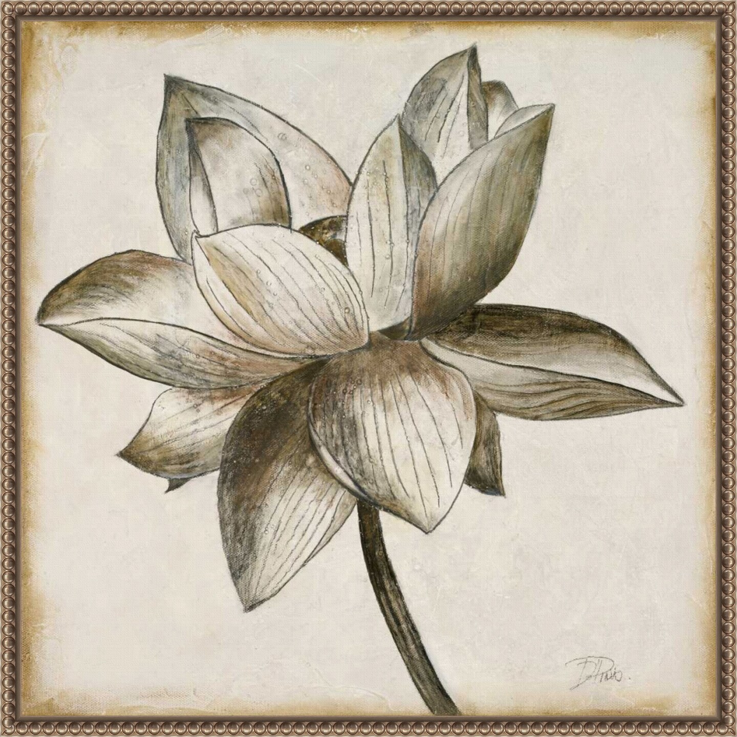 Sepia Lotus I by Patricia Pinto Framed Canvas Wall Art