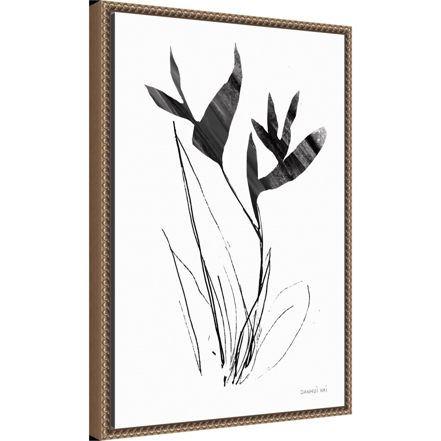Paradise I by Danhui Nai Framed Canvas Wall Art