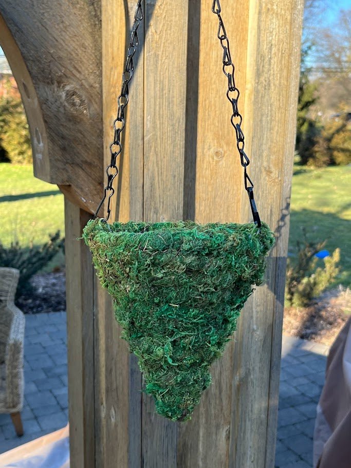 6&#x22; MOSS Hanging Basket - Circle Cone