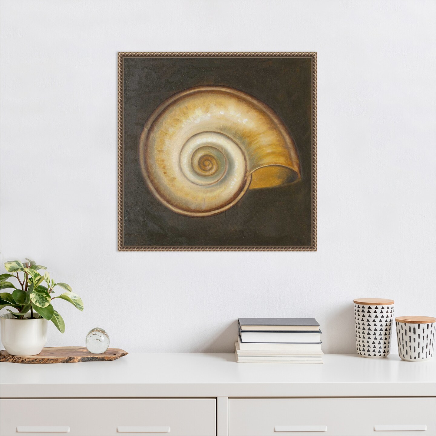 Seashell I by Patricia Pinto Framed Canvas Wall Art