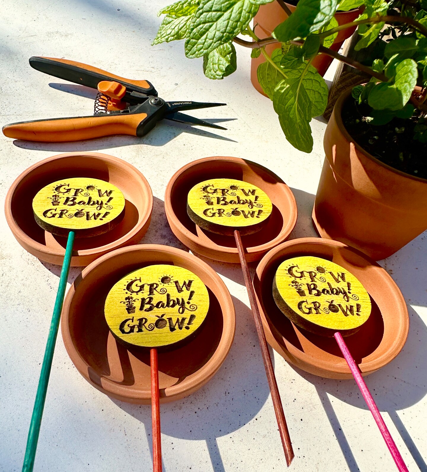 Colorful Custom Engraved Plant Tags | MakerPlace by Michaels