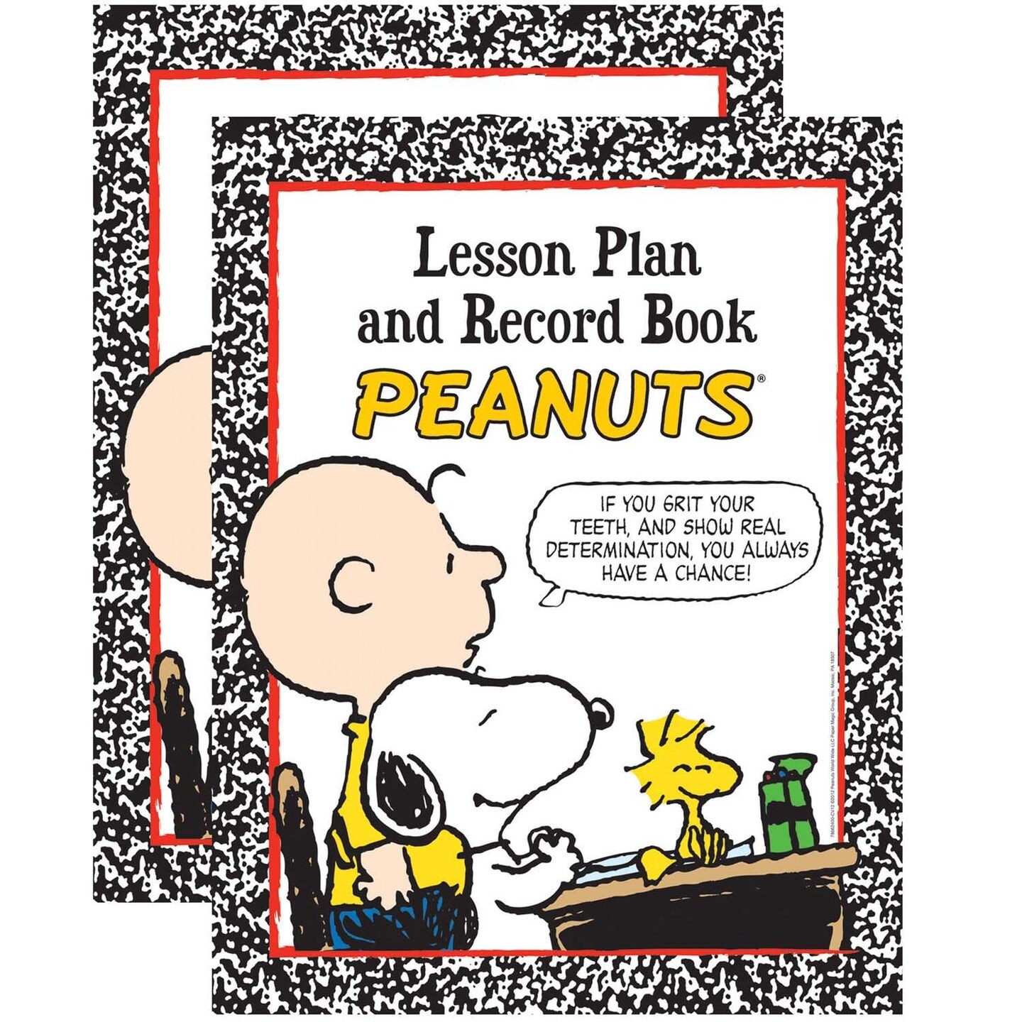 Peanuts&#xAE; Lesson Plan &#x26; Record Book, Pack of 2