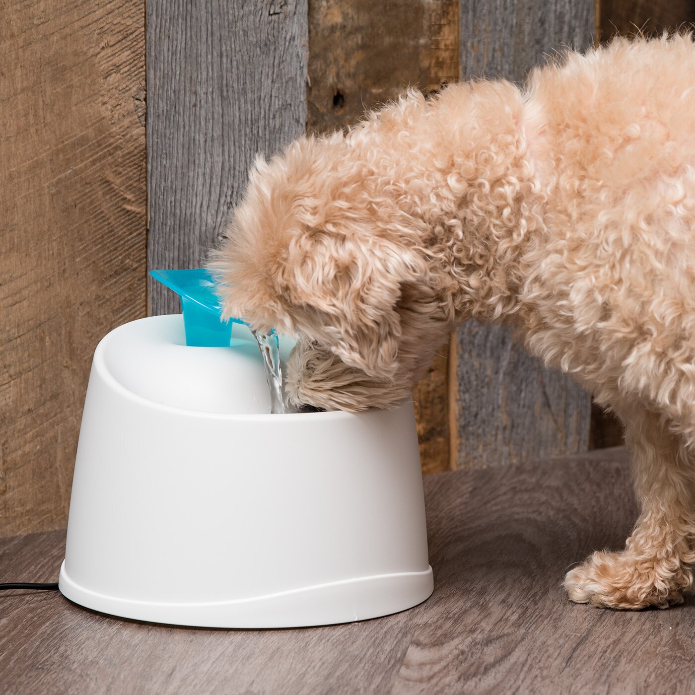 IRIS USA Automatic Pet Water Fountain for Cats and Dogs