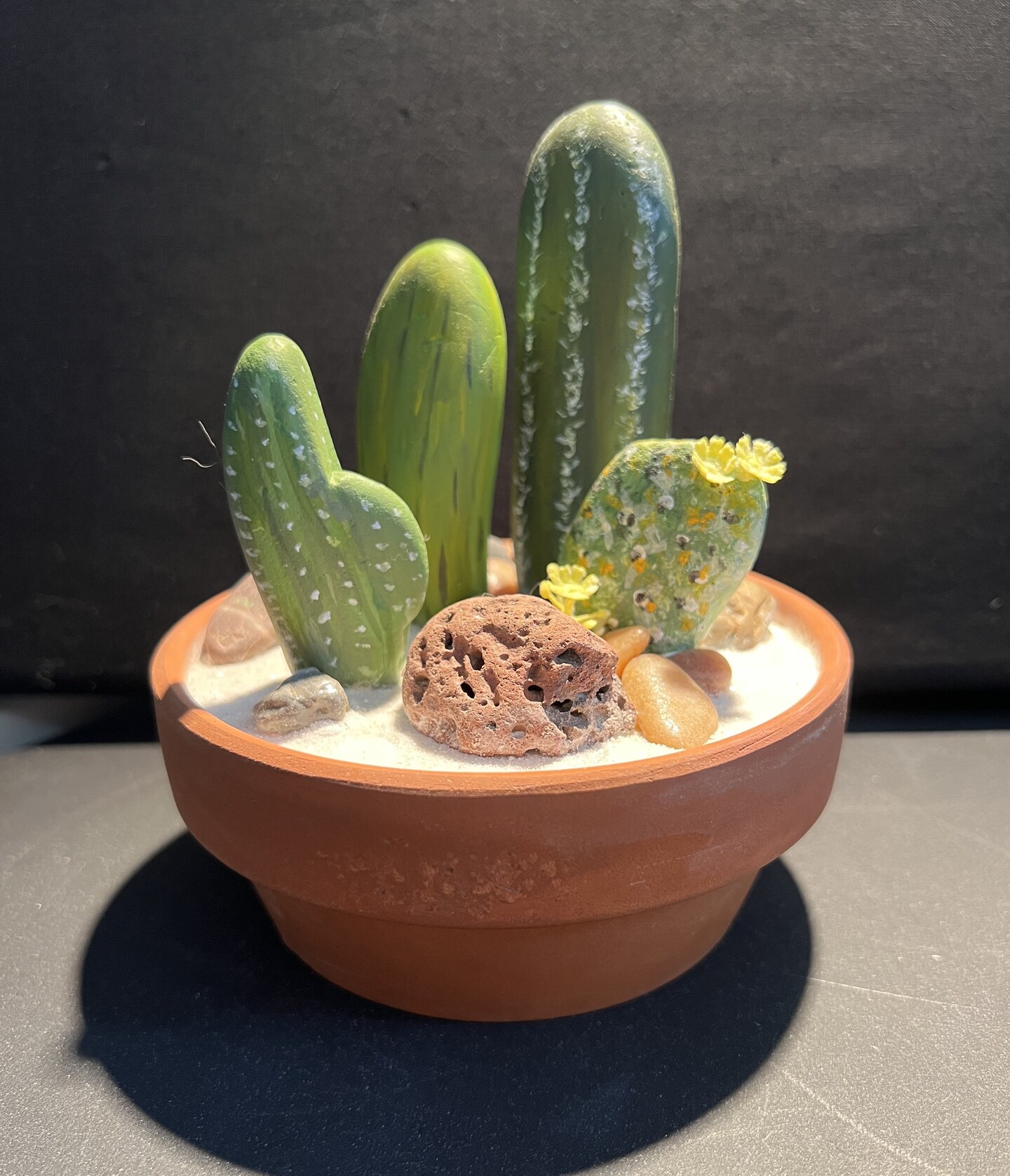kaktus gymno Gymnocalycium horstii  Spinnenkaktus, seltener Kaktus mit spektakulr   Secret Garden Plant Shop