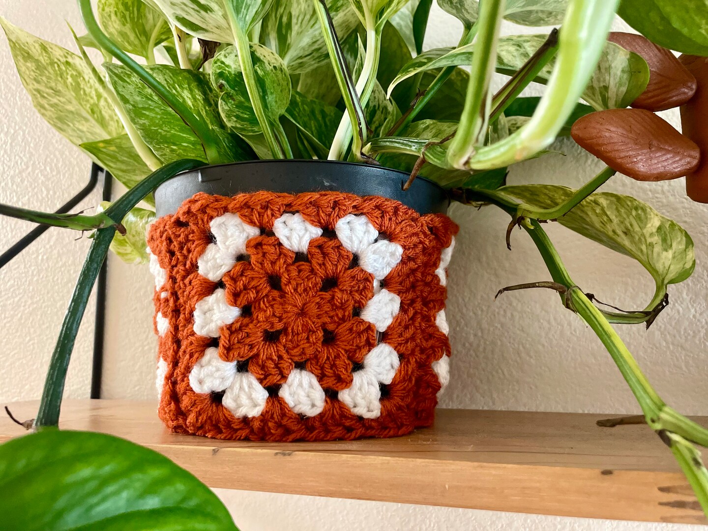 8 plant pots Clay Pot