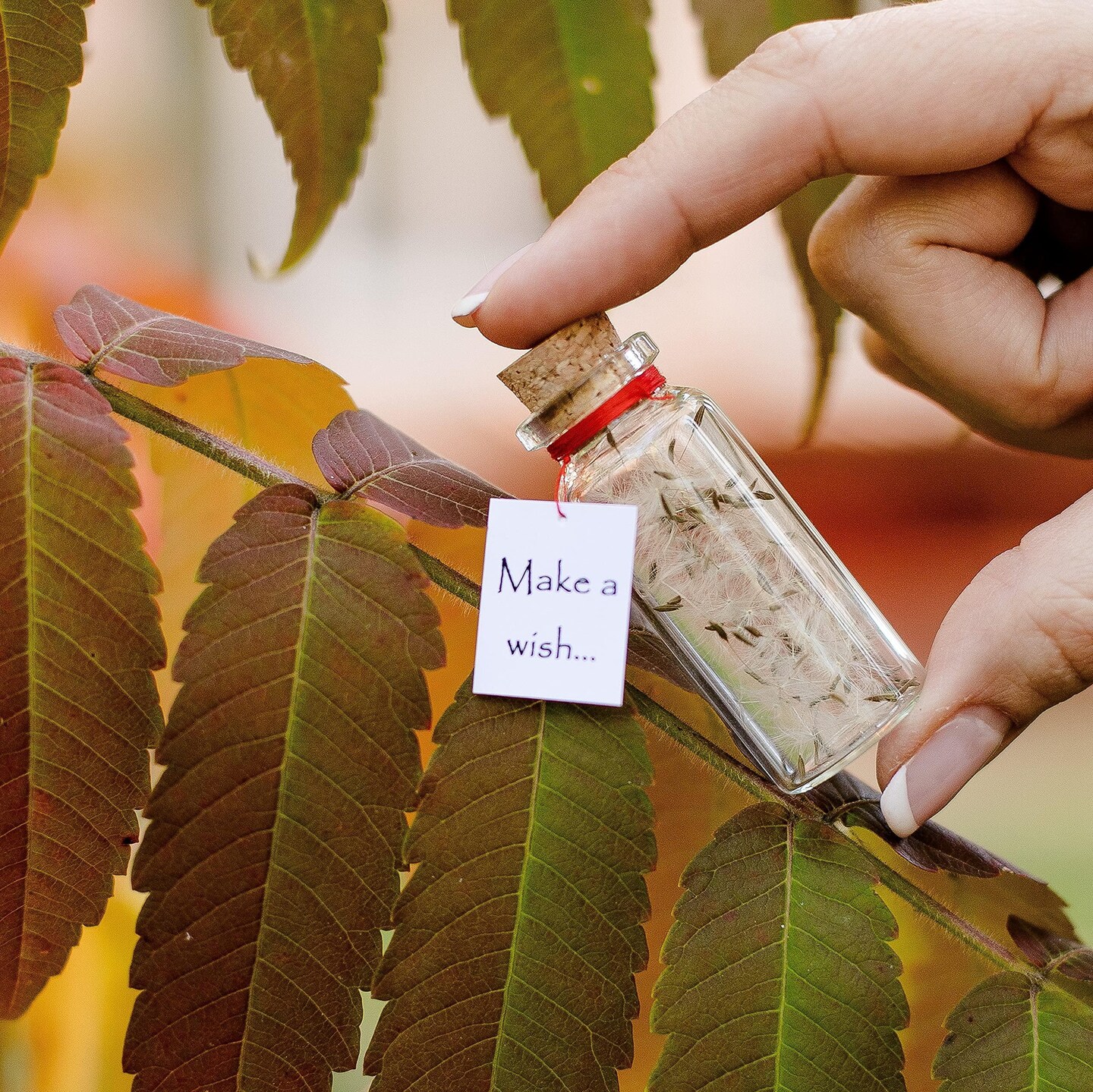 Tiny Magical Message in a Bottle Gift Idea   Classy Inspirational Gifts for Him and Her   Unique Presents for Women and Men (White Dandelion   Make a Wish Gift Bottle)