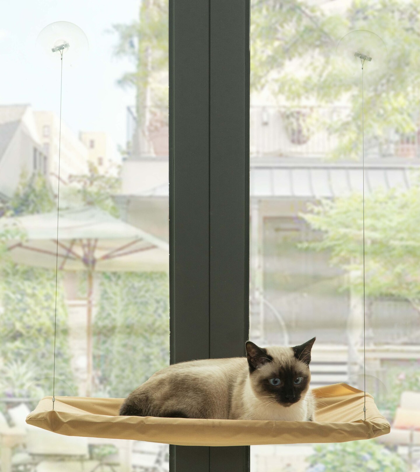 Window Mounted Window Perch Cat Resting Bed Hanging Seat Shelf Pet Hammock