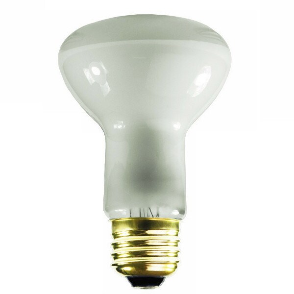 Satco S3849 45W 130V R20 Frosted E26 Medium Base Incandescent light ...