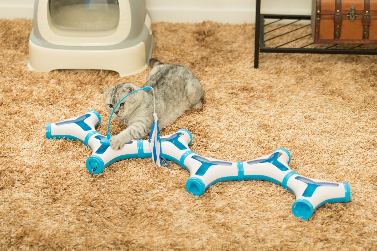 Configurable Interactive Cat Toy with Spring Feather Teaser