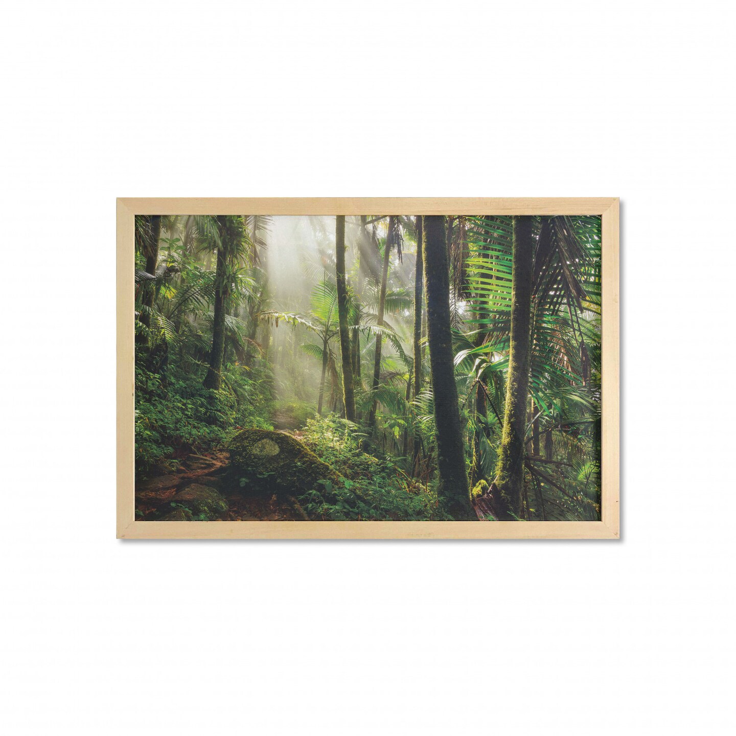 Ambesonne Puerto Rico Wall Art with Frame, Jungle Path Through the El ...